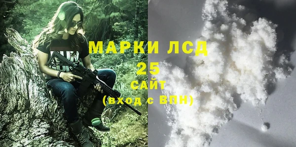 ПСИЛОЦИБИНОВЫЕ ГРИБЫ Абаза