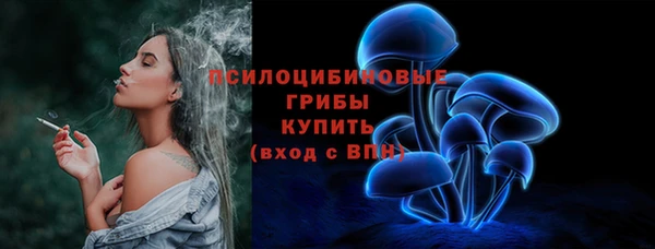 ПСИЛОЦИБИНОВЫЕ ГРИБЫ Абаза