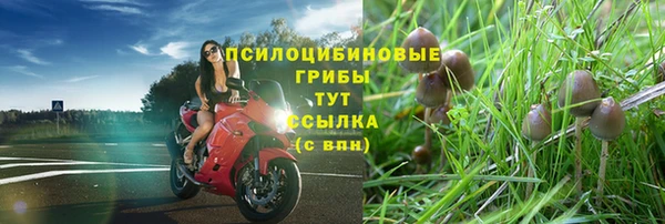 тгк Новокубанск