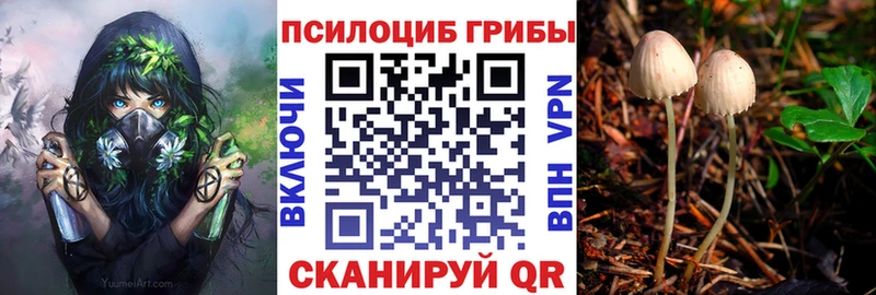 гидра   Правдинск  Псилоцибиновые грибы мицелий 